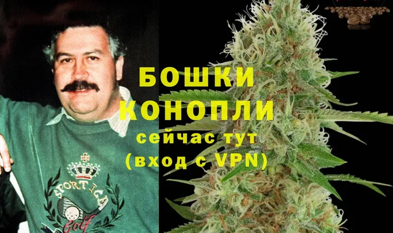 Шишки марихуана OG Kush  Николаевск 